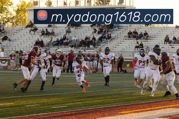 mksports体育平台生态图