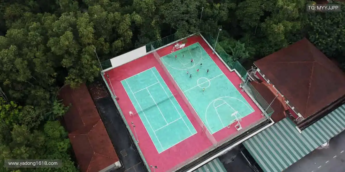 见证传奇时刻，点燃你的热血激情！⚽